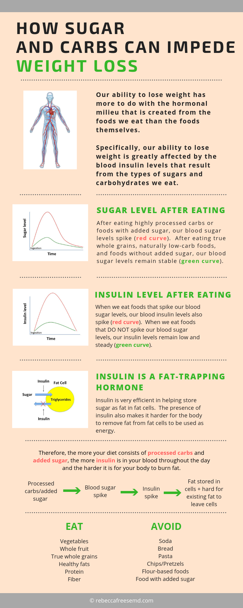 carbs and weight loss